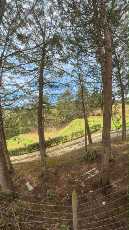 Lote en venta en Rionegro (LOT-0015) — foto 11