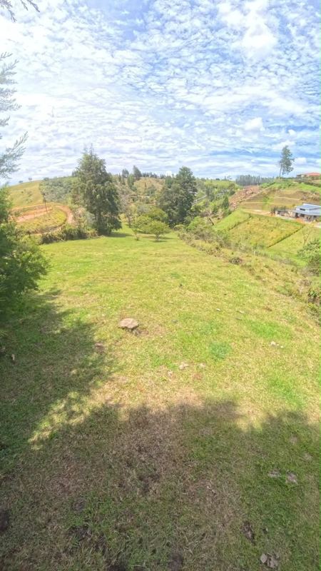 Lote en venta en Rionegro (LOT-0015) — foto 8
