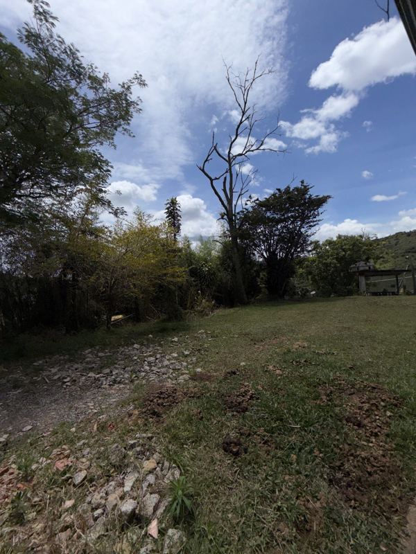 Finca en san Vicente vereda piedra gorda — foto 11