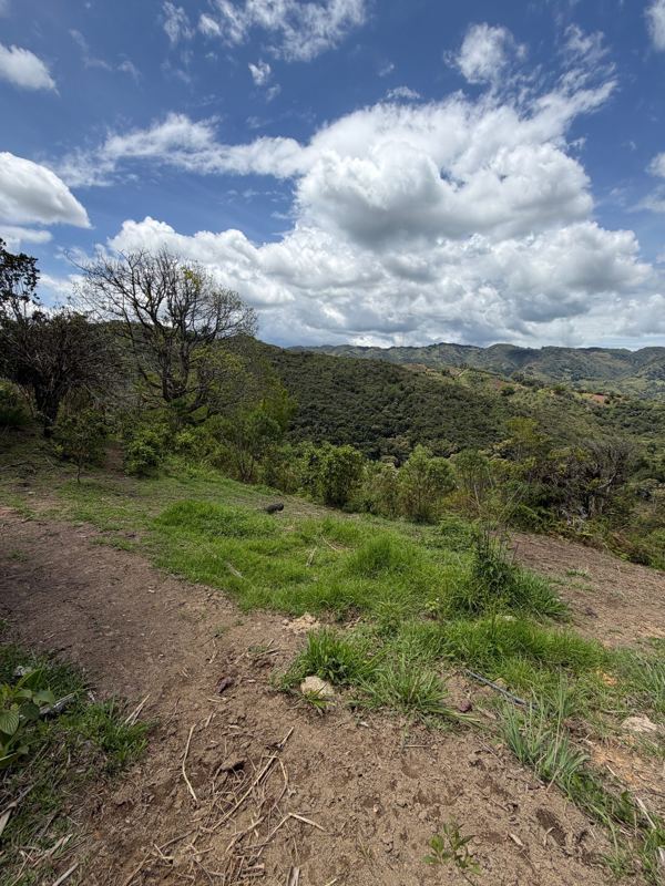 Finca en san Vicente vereda piedra gorda — foto 12