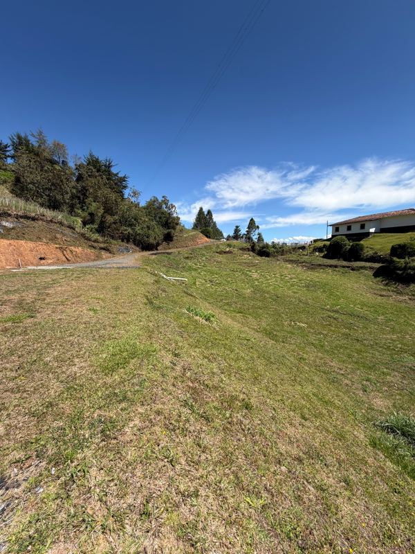 Lote en venta en San Vicente Ferrer (LOT-0009) — foto 11