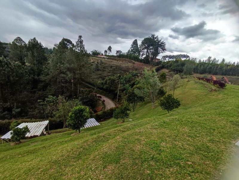 Finca en Rionegro vía al carmen — foto 11