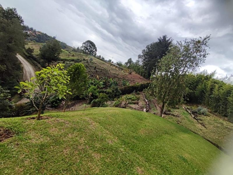 Finca en Rionegro vía al carmen — foto 10