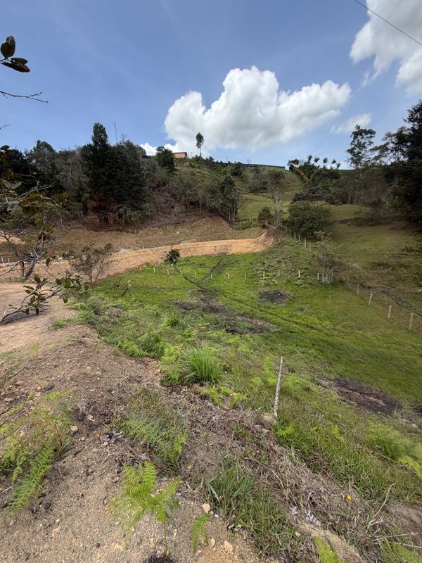 Lote en venta en San Vicente Ferrer (LOT-0010) — foto 4