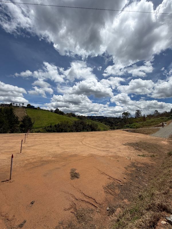Lote en venta en San Vicente Ferrer (LOT-0010) — foto 6