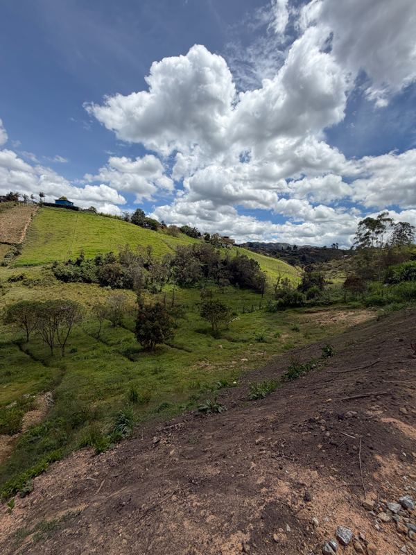 Lote en venta en San Vicente Ferrer (LOT-0010) — foto 9