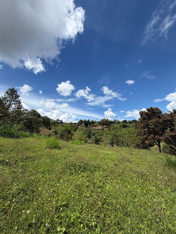 Lote en san Vicente vereda la porquera — foto 2