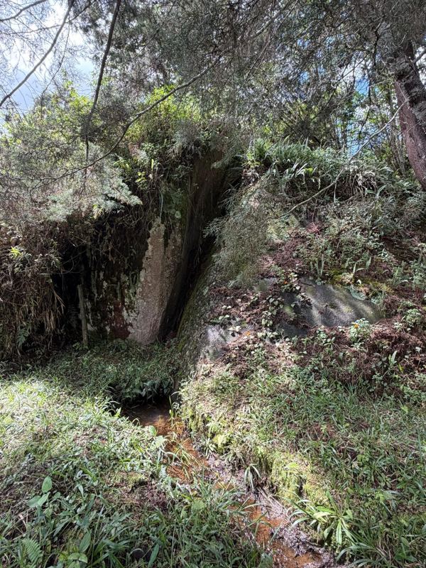 Lote en san Vicente vereda la porquera — foto 3