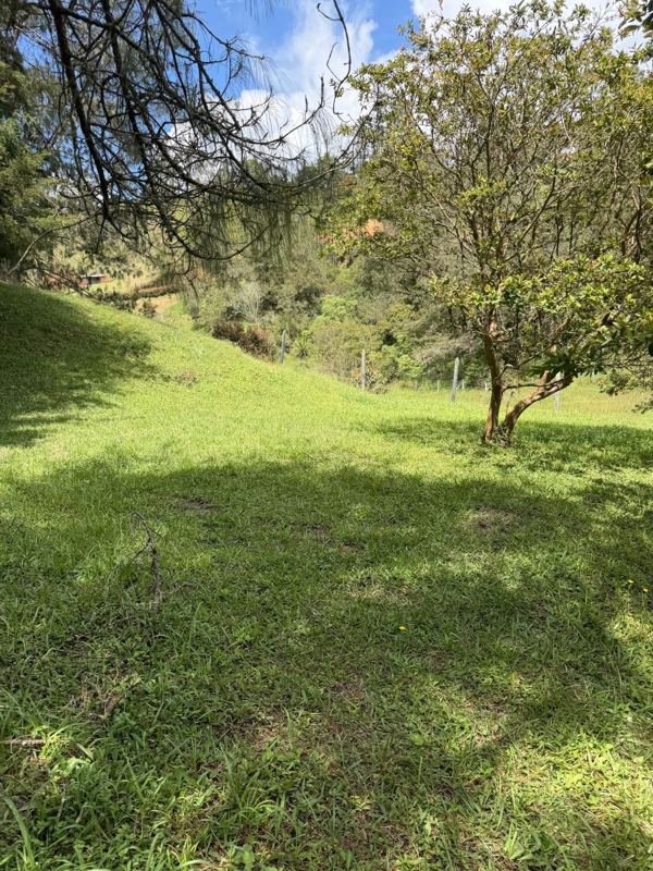 Lote en san Vicente vereda la porquera