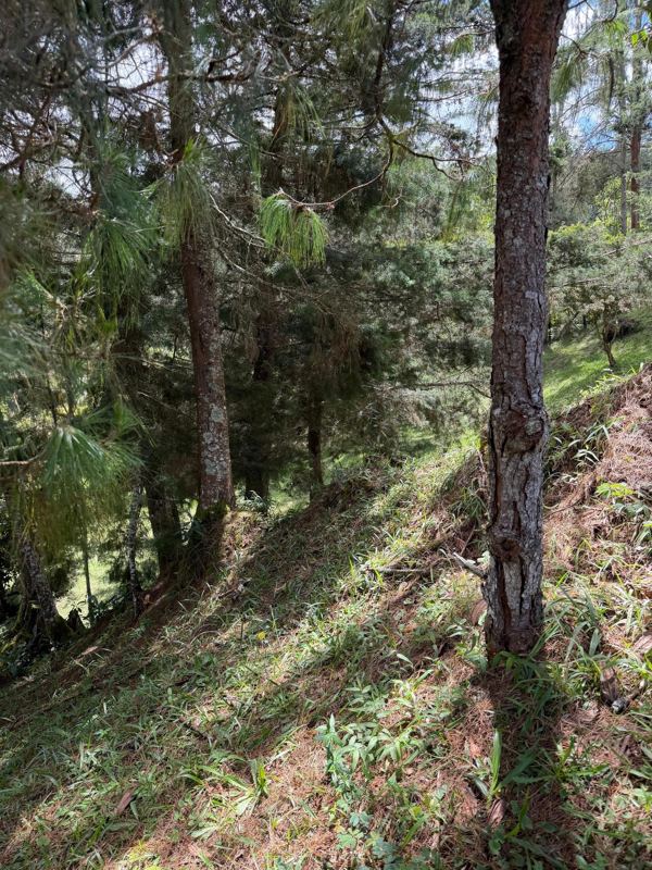 Lote en san Vicente vereda la porquera — foto 4