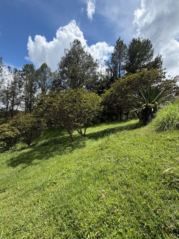 Lote en san Vicente vereda la porquera — foto 6