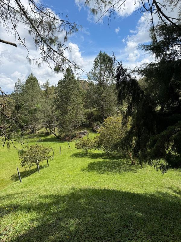 Lote en san Vicente vereda la porquera — foto 5