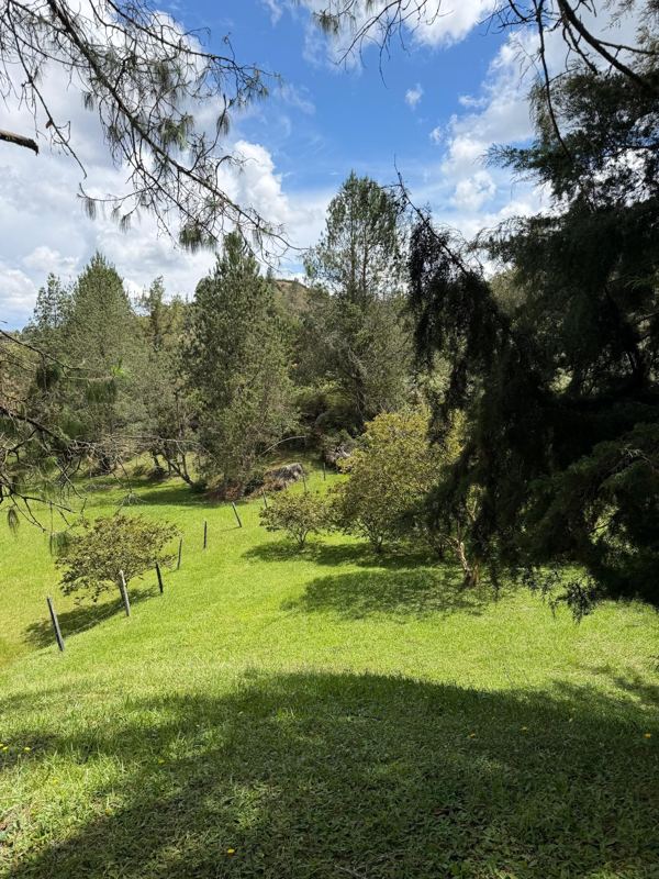 Lote en san Vicente vereda la porquera — foto 8