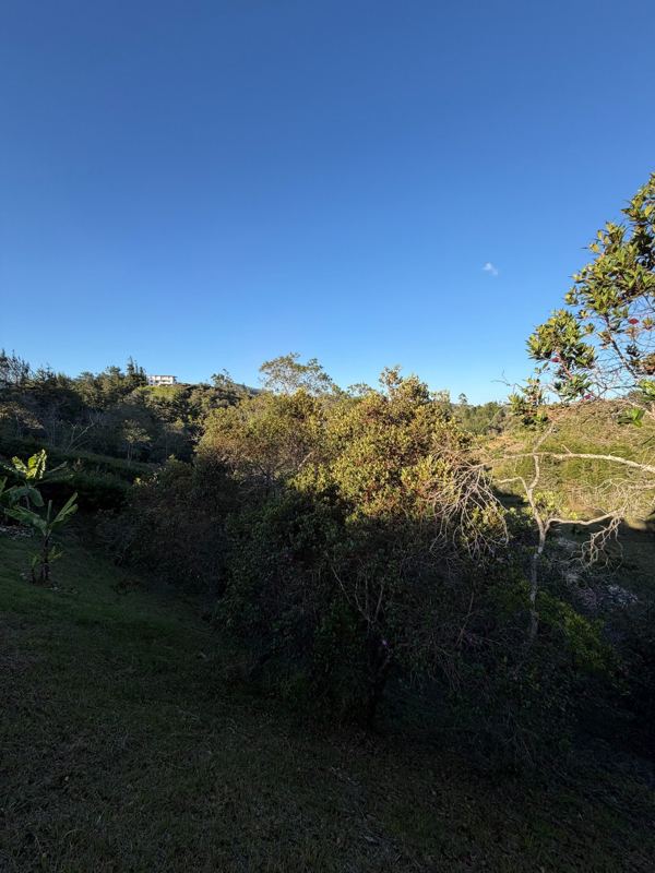 Lote campestre en san Vicente vereda chaparral — foto 3