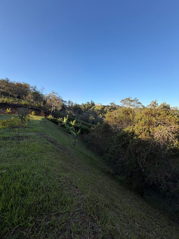 Lote campestre en san Vicente vereda chaparral — foto 4