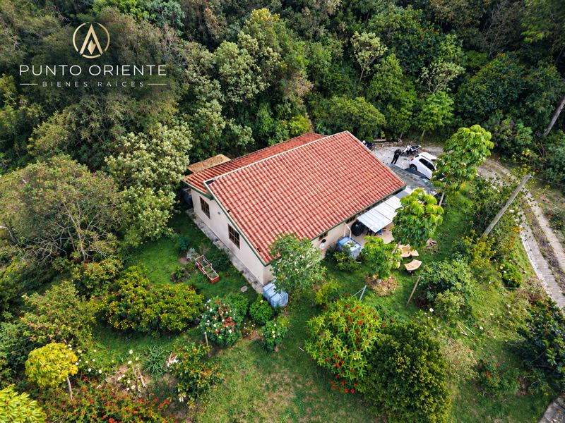 Finca en san Vicente vereda san antonio
