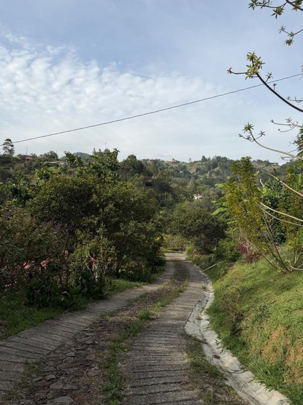 Finca en venta en San Vicente Ferrer (FIN-0014) — foto 12