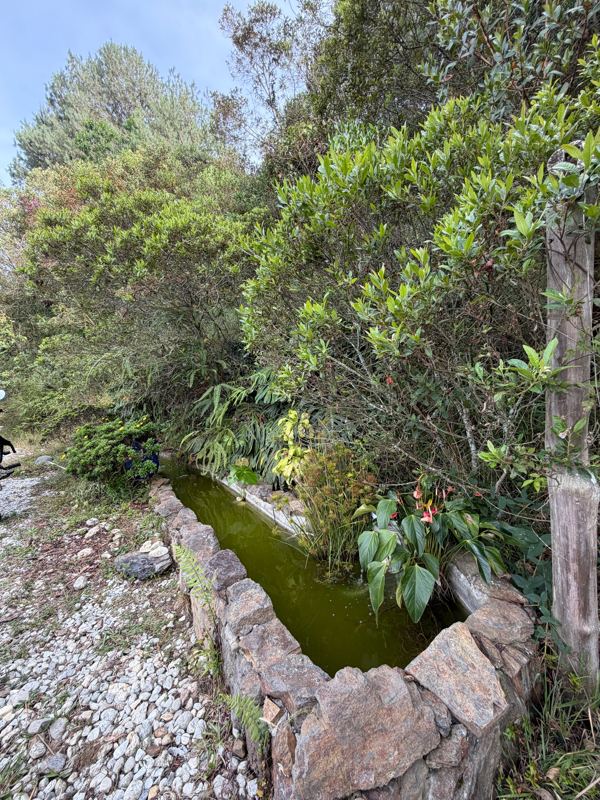Finca en venta en San Vicente Ferrer (FIN-0014) — foto 10