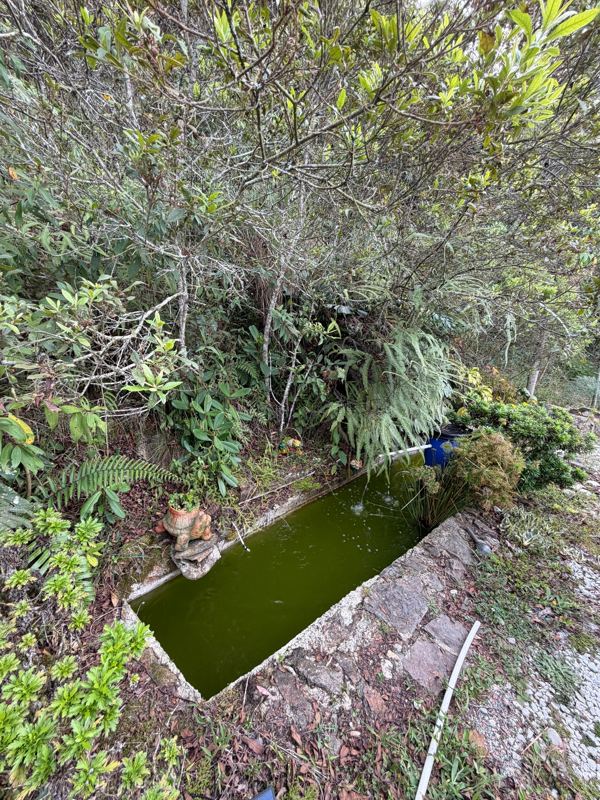 Finca en venta en San Vicente Ferrer (FIN-0014) — foto 11