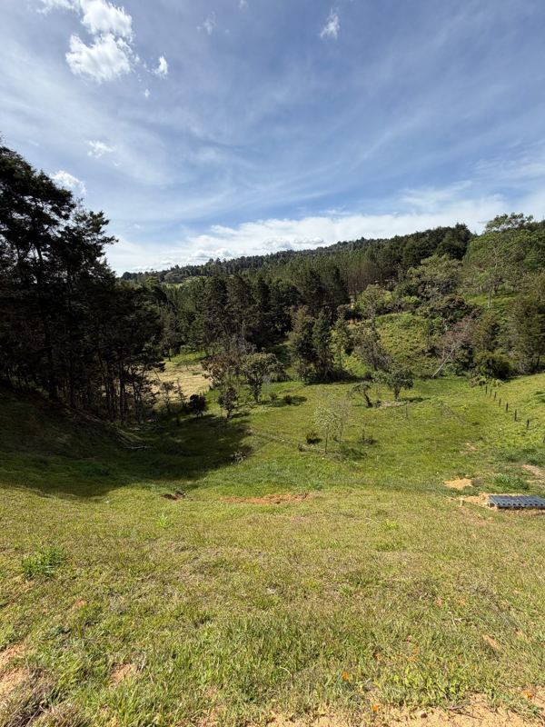 Lote campestre en Guarne vereda el molino — foto 3