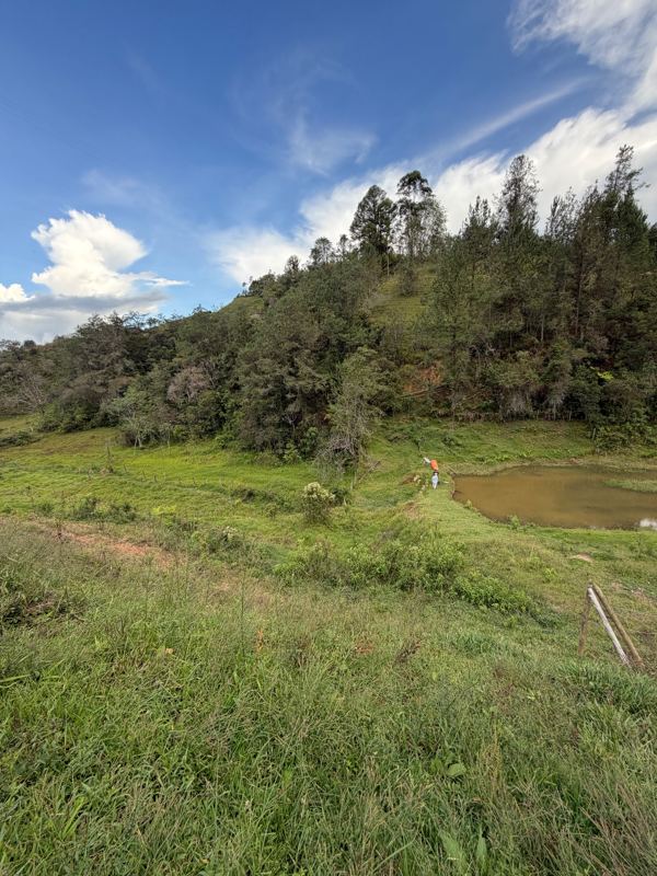 Lote en venta en San Vicente Ferrer (LOT-0011) — foto 5