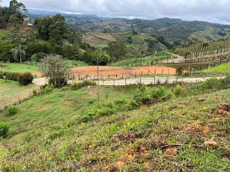 Lote en san Vicente vereda la floresta — foto 3