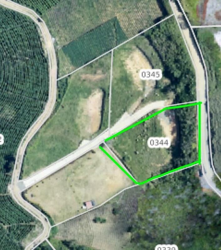 Lote en san Vicente vereda la floresta — foto 5