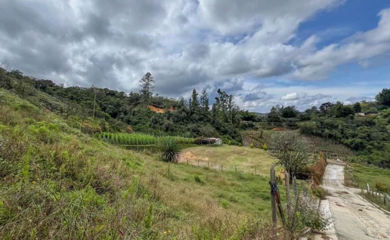 Lote en san Vicente vereda la floresta — foto 2